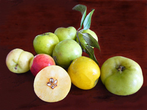 Hướng dẫn cách làm dấm táo nhanh và hiệu quả nhất