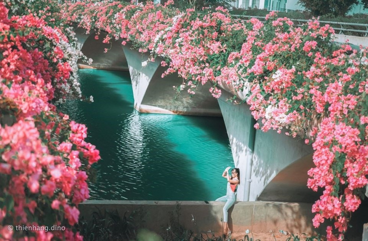 cầu thủy tiên ecopark – thánh địa check-in hoa giấy gần hà nội