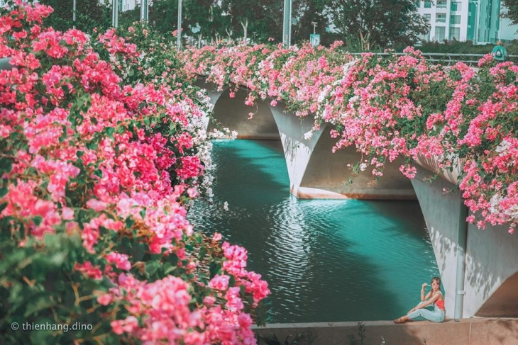cầu thủy tiên ecopark – thánh địa check-in hoa giấy gần hà nội