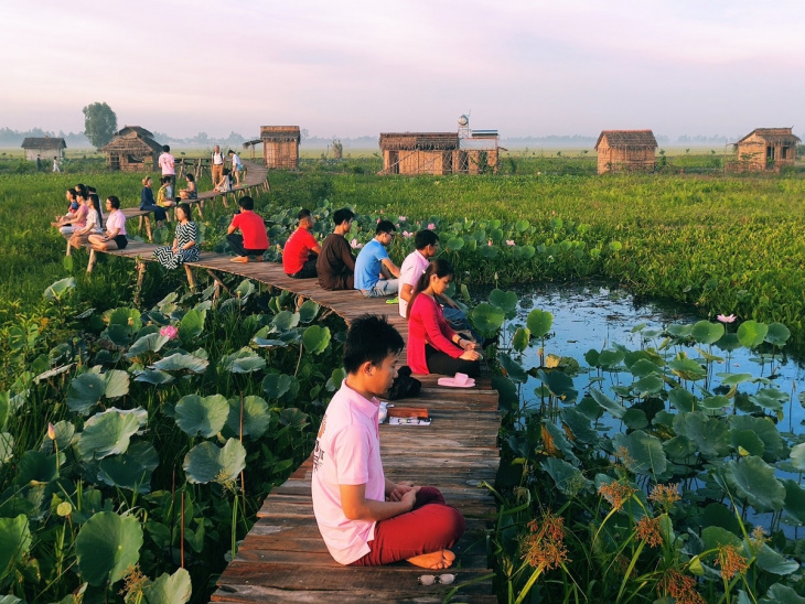 farmstay, cải tạo đất nhiễm phèn và bí quyết xây dựng farmstay của người dân miền tây