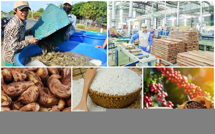 farmstay, xuất khẩu nông sản farmstay – thực trạng và biện pháp khắc phục