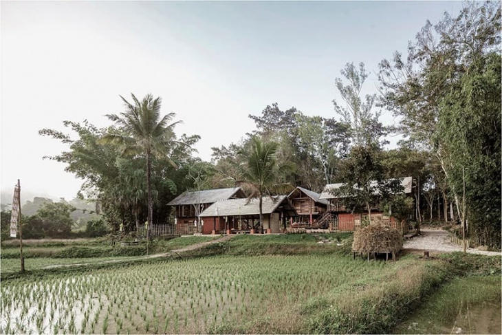 farmstay, lưu giữ kiến trúc truyền thống chiangmai nơi farmstay