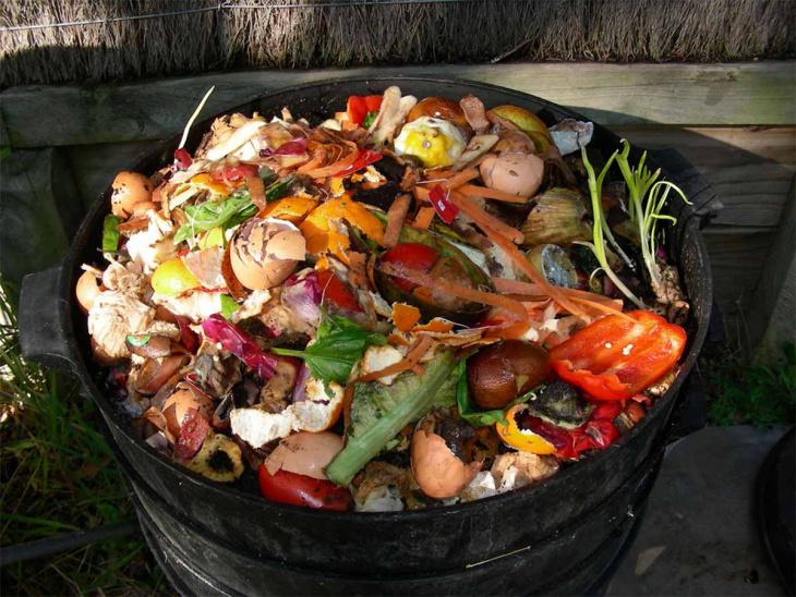 farmstay, cách ủ rác thải nhà bếp trồng rau mà mọi nông dân nên biết