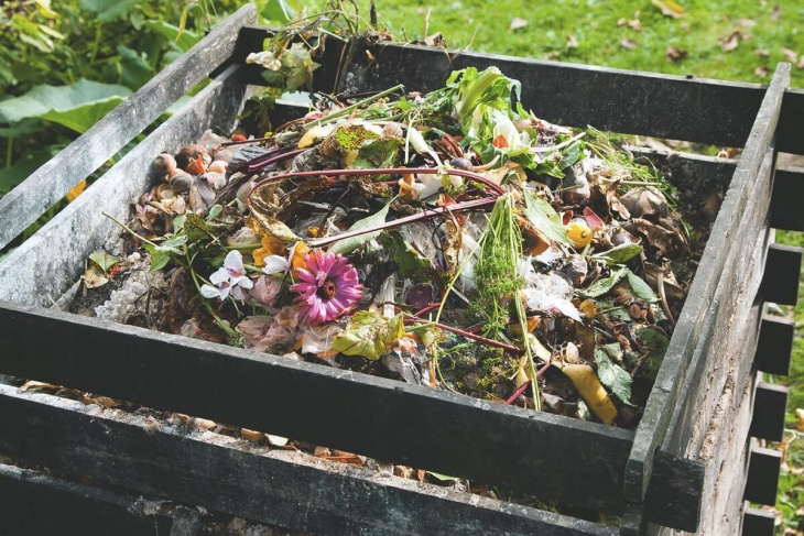 farmstay, cách ủ rác thải nhà bếp trồng rau mà mọi nông dân nên biết