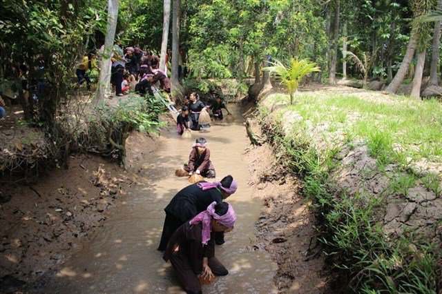 du lịch bến tre, forever green resort – điểm ‘check-in’ sang chảnh mới giữa miền tây