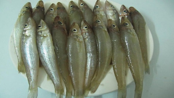 bống kho, cá bống kho tiêu, cá kho, cách nấu cá bống kho, cách nấu cá bống kho rim, hương vị quê hương đậm đà