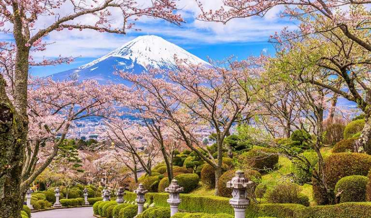 Các địa điểm ngắm hoa Anh Đào ở Nhật Bản và những kinh nghiệm cần biết