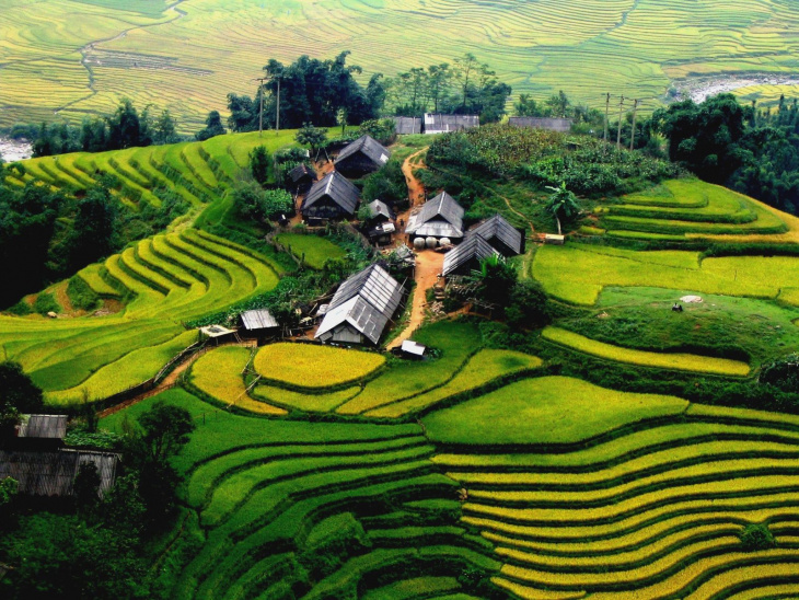 Bỏ túi kinh nghiệm săn lúa và khám phá những thửa ruộng bậc thang đẹp nhất Việt Nam