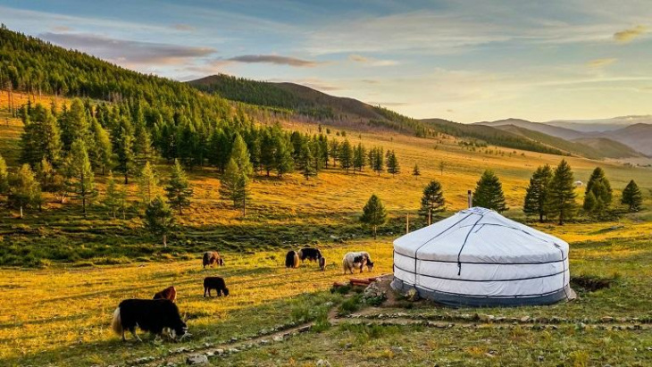 Kinh nghiệm du lịch Mông Cổ – hành trình trải nghiệm cuộc sống du mục