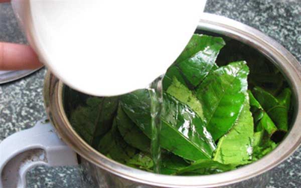 trà xanh, điều trị vảy nến hiệu quả nhờ công dụng của trà xanh