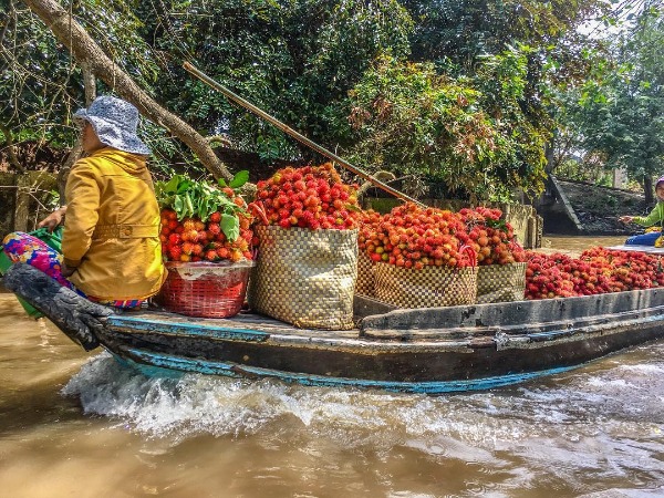 du lịch miền tây, kinh nghiệm du lịch miền tây từ a – z tận tình chi tiết ai đi cũng được