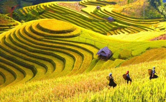 bản đồ du lịch hà giang, bản đồ các điểm du lịch hà giang, khám phá, trải nghiệm, bỏ túi bản đồ du lịch hà giang mới nhất dành cho khách du lịch