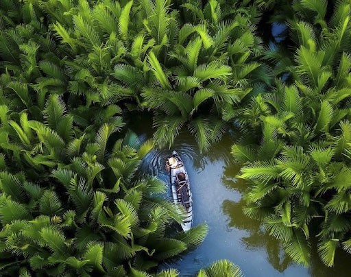 5 điều bạn cần biết để có những trải nghiệm thú vị khi du lịch Rừng Dừa Bảy Mẫu Hội An