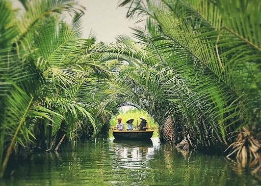 rừng dừa bảy mẫu, khu du lịch sinh thái rừng dừa hội an, khám phá, trải nghiệm, 5 điều bạn cần biết để có những trải nghiệm thú vị khi du lịch rừng dừa bảy mẫu hội an