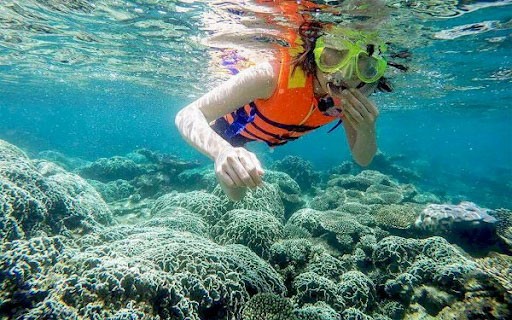 khám phá, trải nghiệm, kinh nghiệm du lịch cù lao chàm hội an lặn ngắm san hô tuyệt đẹp