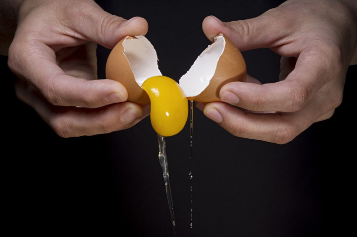 khám phá, trải nghiệm, bí mật giúp người nhật ăn cơm trứng sống không ngộ độc