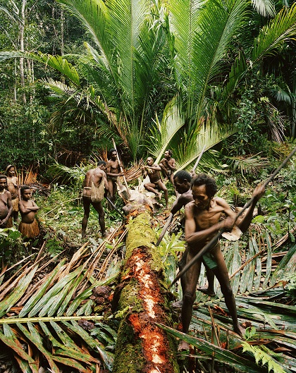 Bộ tộc nguyên thủy sống giữa rừng già ở Indonesia