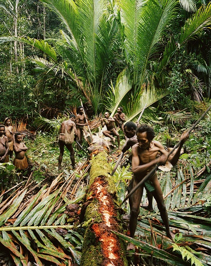 khám phá, trải nghiệm, bộ tộc nguyên thủy sống giữa rừng già ở indonesia