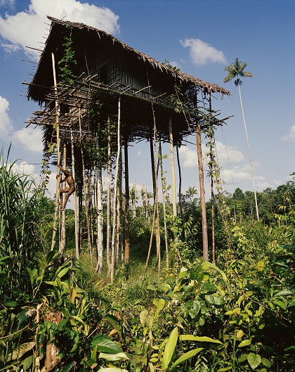 khám phá, trải nghiệm, bộ tộc nguyên thủy sống giữa rừng già ở indonesia