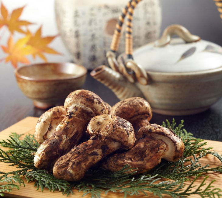Mùa thu đến Nhật đừng quên ăn thử loại nấm giá 1.000 USD/kg