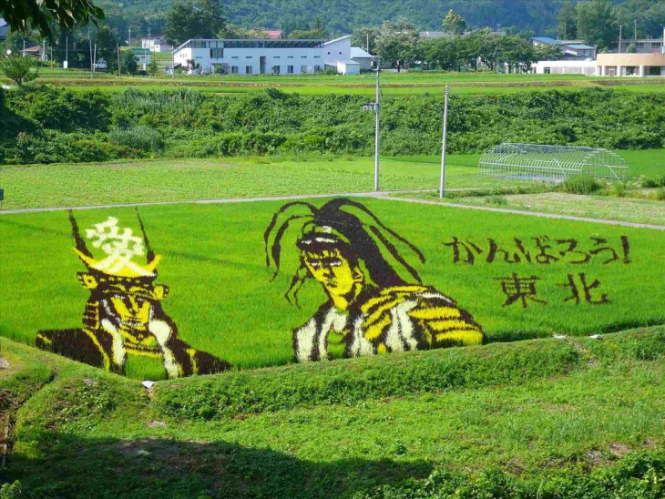 Nghệ thuật trồng lúa đỉnh cao của người Nhật