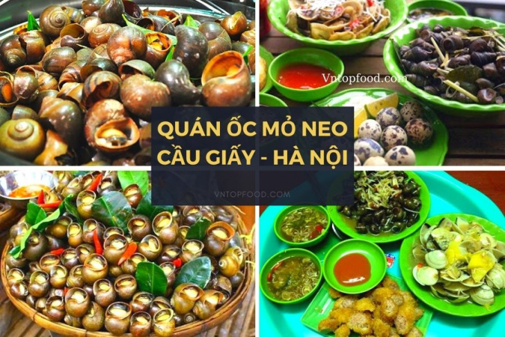 khám phá, trải nghiệm, địa chỉ 15 quán ốc ngon ở hà nội, cầu giấy, hà đông bỏ lỡ cực kì tiếc