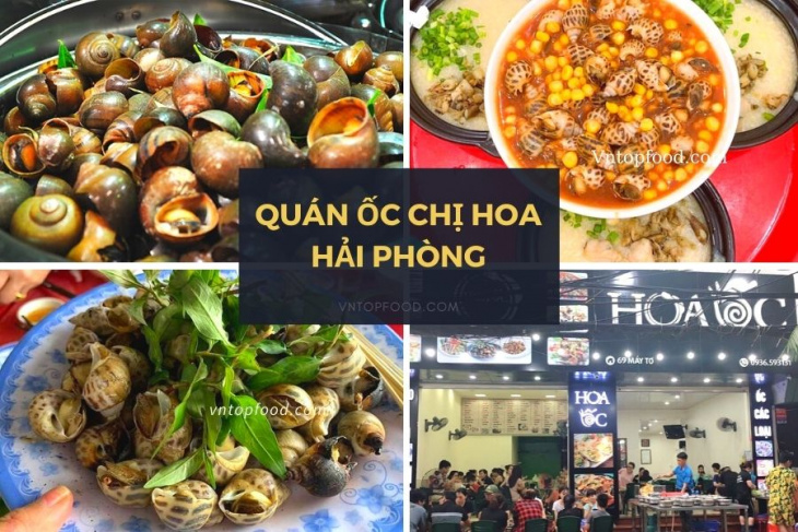 khám phá, trải nghiệm, tổng hợp 15 quán ốc ngon hải phòng ăn một lần là nhớ cả đời