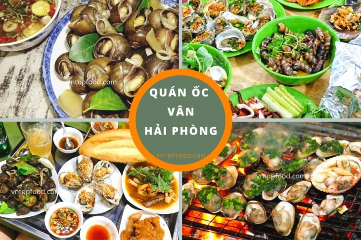 khám phá, trải nghiệm, tổng hợp 15 quán ốc ngon hải phòng ăn một lần là nhớ cả đời