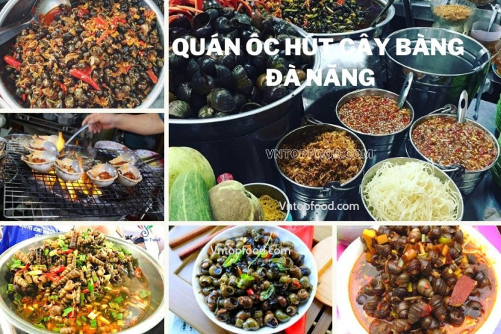 khám phá, trải nghiệm, gợi ý 15 quán ốc ngon ở đà nẵng giá rẻ hút khách rần rần