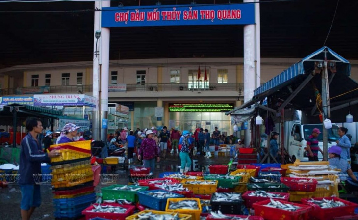 Chợ hải sản Đà Nẵng: Review TOP 12 khu chợ nổi tiếng tươi ngon