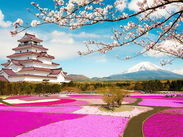 Các cách tiết kiệm chi phí để du lịch Nhật Bản giá rẻ nhưng vẫn chất lượng