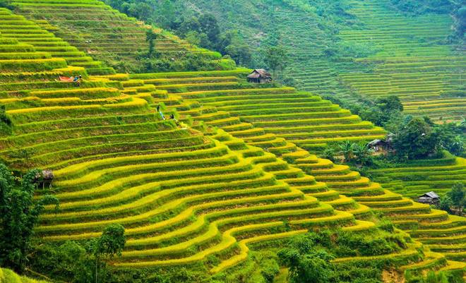 khám phá, trải nghiệm, bản đồ du lịch và hành chính tỉnh hà giang đầy đủ và chính xác