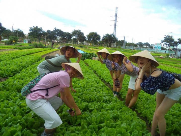 khám phá, trải nghiệm, làng rau trà quế hội an – trải nghiệm khoảnh khắc làm nông dân chân chất