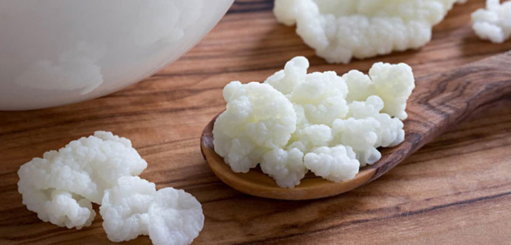 Mách bạn cách làm yaourt mềm mịn từ nấm Kefir siêu ngon