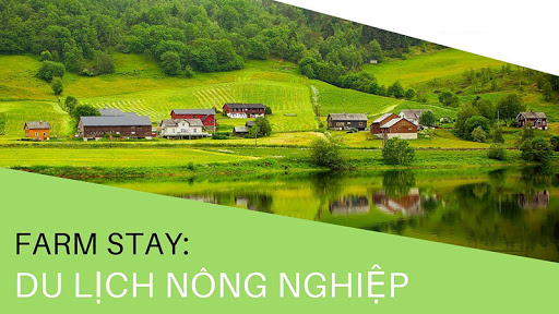 Top 5 Farmstay Thu Hút Nhất Việt Nam