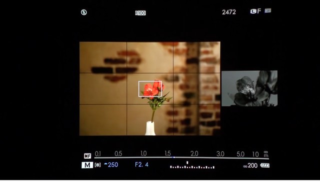 chụp ảnh, cách sử dụng lens mf hiệu quả trên máy ảnh