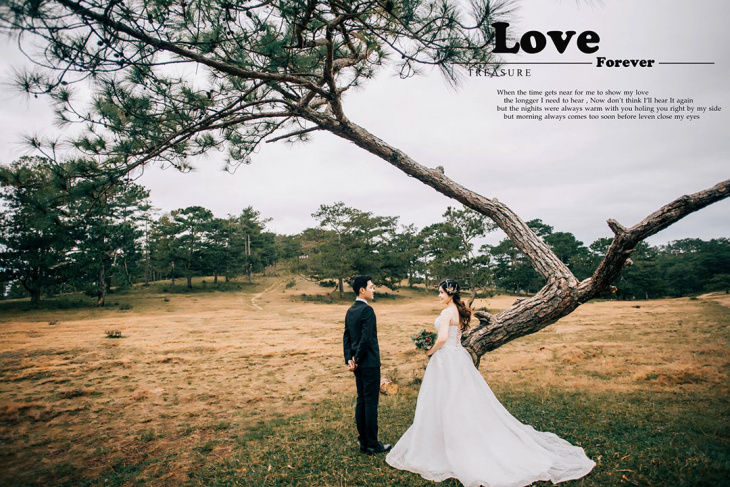 chụp ảnh, top 10 studio chụp ảnh cưới đẹp nhất tại đà lạt