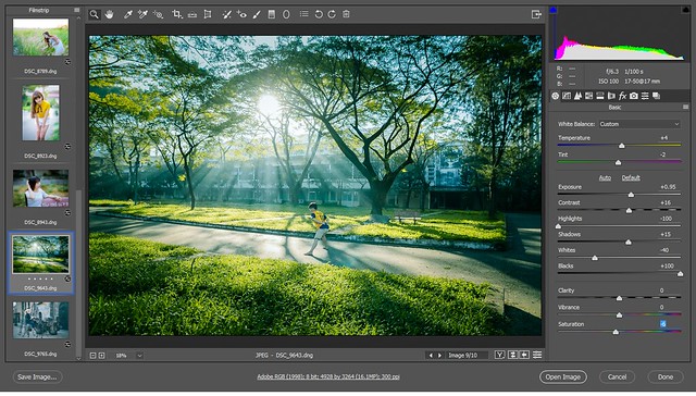 chụp ảnh, 10 preset chỉnh màu ảnh đẹp nhất cho camera raw