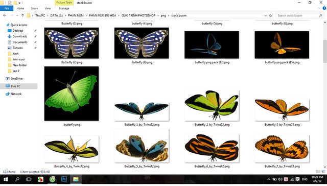 Tổng hợp stock bươm bướm ghép ảnh trong photoshop