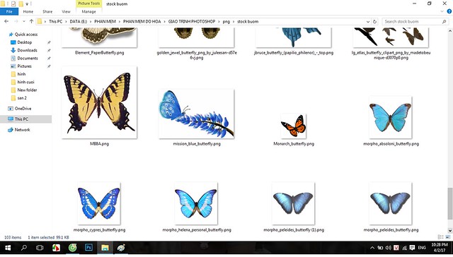 chụp ảnh, tổng hợp stock bươm bướm ghép ảnh trong photoshop