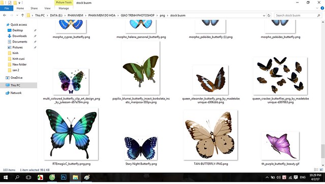 chụp ảnh, tổng hợp stock bươm bướm ghép ảnh trong photoshop