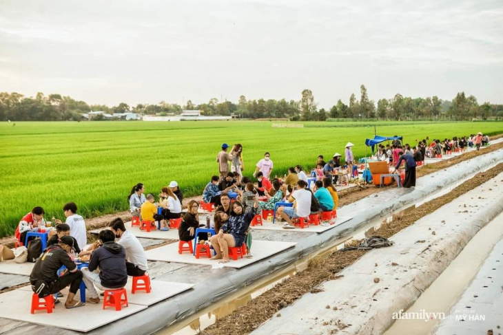 Quán chay ngồi giữa ruộng lúa độc đáo tại miền Tây thu hút nhiều người đến trải nghiệm