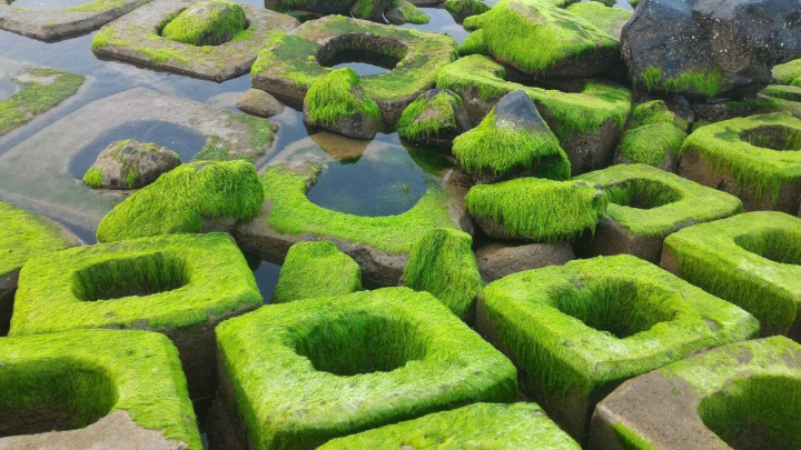 Phú Yên lại hiện lên một ‘thiên đường rêu xanh’ đẹp mê ly