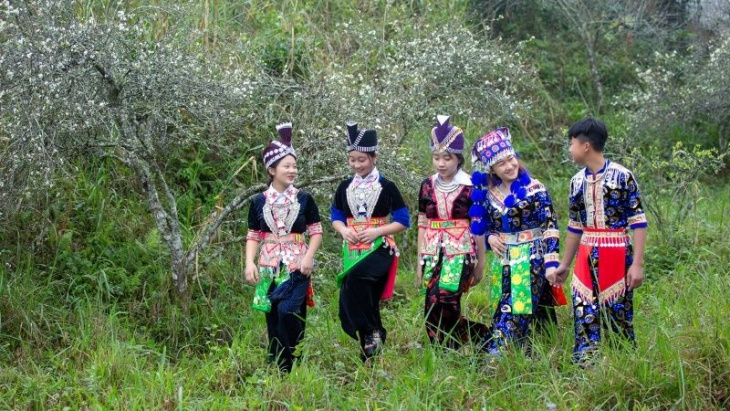 khám phá, trải nghiệm, đẹp ngất ngây hoa mận nở trắng thung lũng kỳ sơn đón xuân về