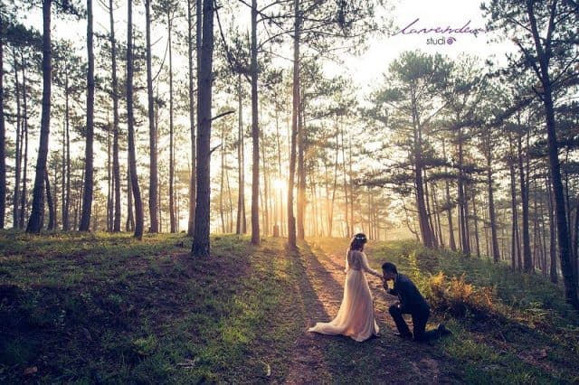 Chụp ảnh cưới Đà Lạt ở đâu để có những bức hình siêu lãng mạn?
