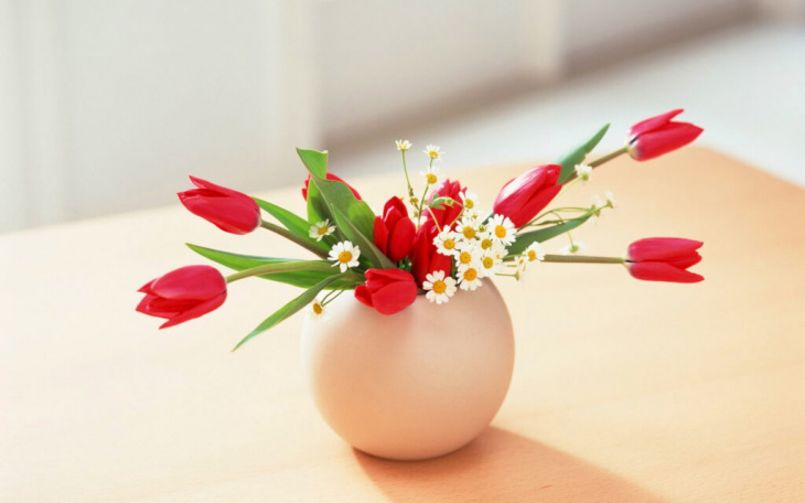 phong thủy, nếu thường xuyên cắm hoa tươi trong nhà, tuyệt đối không được bỏ qua những điều này