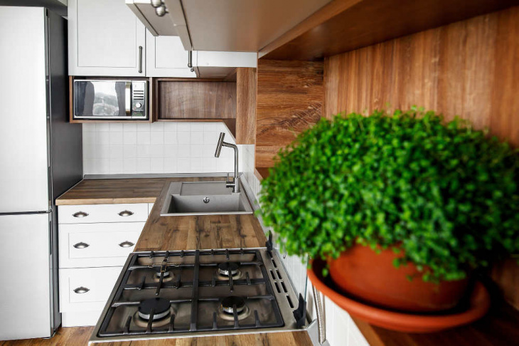 4 loại cây tuyệt vời để kết hợp trong nhà bếp của bạn để có phong thủy tốt