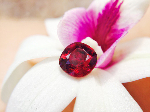 phong thủy, [hướng dẫn] mua đá ruby đỏ việt nam giá “cực rẻ” nếu bạn đọc bài này