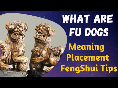 21 Biểu tượng Bảo vệ Chó Fu tốt nhất [Ý nghĩa + Vị trí] Mẹo