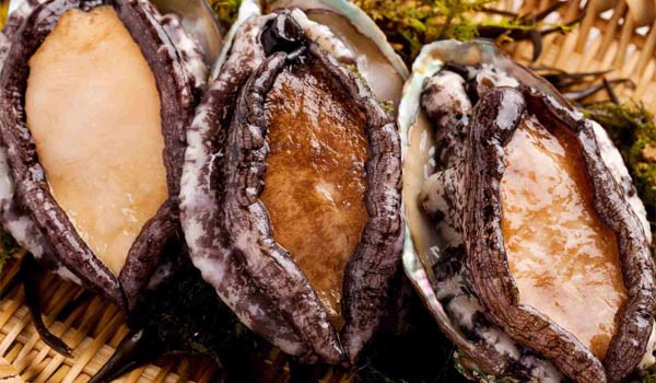 ẩm thực, món ngon, giá bào ngư tươi tại đảo hải sản là bao nhiêu? và cách chế biến